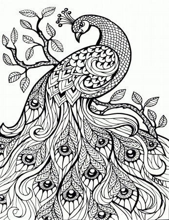20 Stress Relief Coloring for Adults | ringinputeh.best