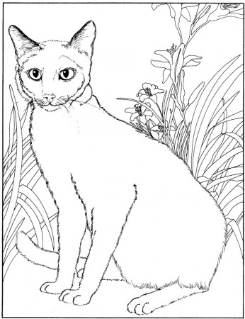 Coloriage chatte - Cats Kids Coloring Pages