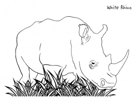 Rhinoceros Coloring Page for Kids - Free Printable Picture