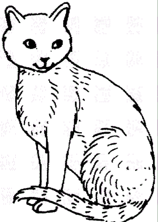 Search Results » Cat Printable Coloring Pages