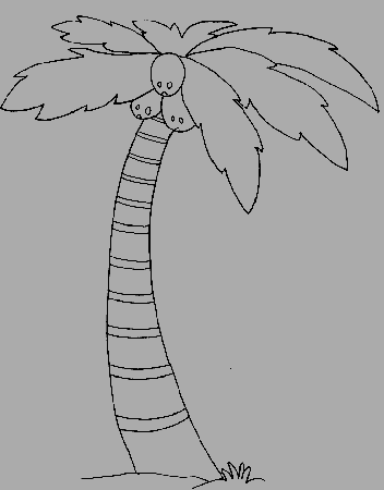 Palm Tree - Coloring Pages for Kids and for Adults