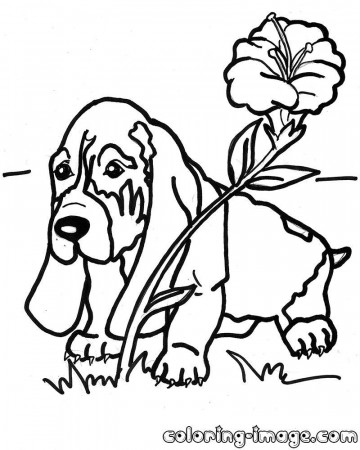 Basset Hound Coloring Pages - Coloring Pages For All Ages