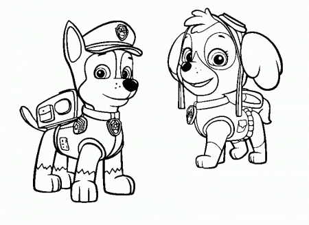 Coloring page Paw Patrol : Stella and Chase 3