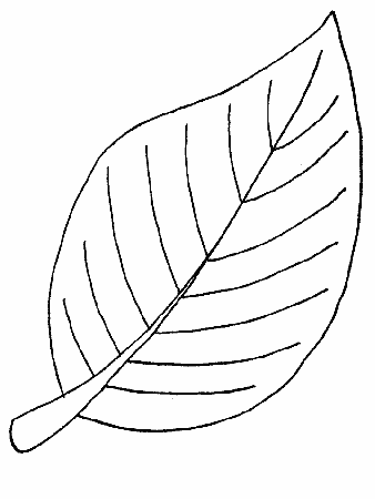 Palm Leaf Outline Related Keywords & Suggestions - Palm Leaf ...