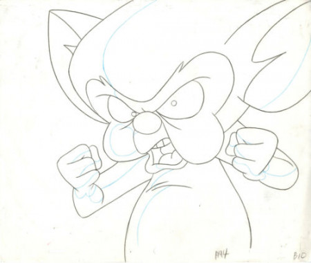 Animaniacs-Pinky And the Brain-Orig Production Drawing-Brain | eBay