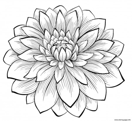 Coloring Pages : Printable Flower Coloring Pages Fallout Coloring ...