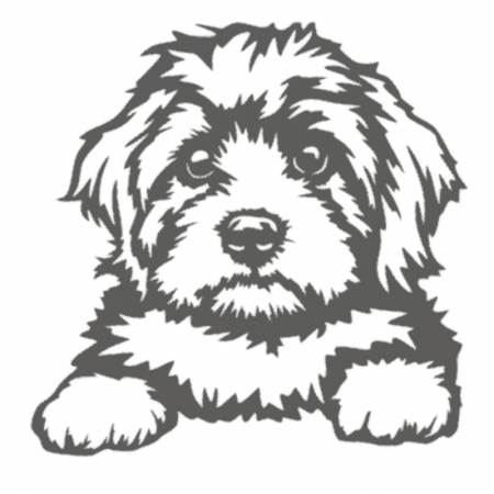 STL file Dog - Cavapoo・3D printing template to download・Cults