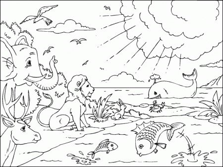 Creation coloring page - Coloring Pages 4 U