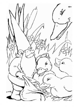 David the Gnome Feeding Duckling Coloring Pages : Batch Coloring