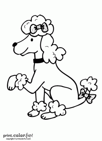 Poodle dog coloring page - Print. Color. Fun!