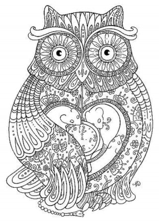 owl coloring pages for adults - Printable Kids Colouring Pages