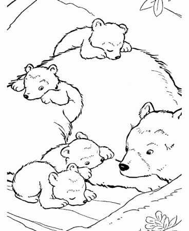 A Bear Coloring Page - Coloring Pages For All Ages