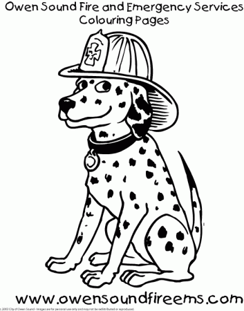 Dalmatian Fire Dog Coloring Page