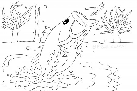 Chillax & Color: Free Fishing Coloring Pages