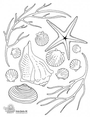 Printable Outer Banks Coloring Pages | Outer Banks Fun | Carolina Designs