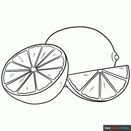 Lime Coloring Page | Easy Drawing Guides