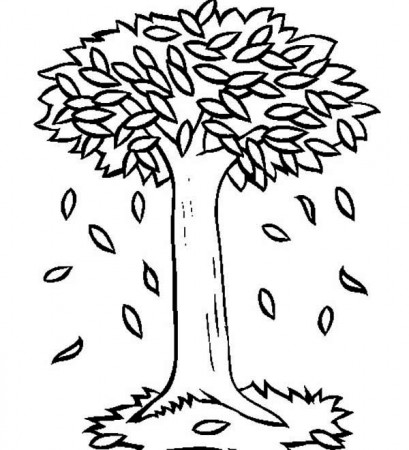 Big Trees in Autumn with Fall Leaf Coloring Page: Big Trees in ...