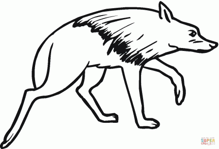 Brown Hyena coloring page | Free Printable Coloring Pages