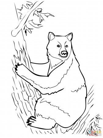 American Black Bear Sits on Tree coloring page | Free Printable ...