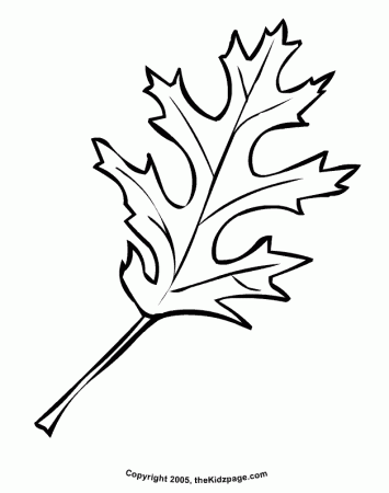 Fall Leaves - Coloring Pages for Kids and for Adults