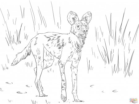 African Wild Dog or Painted Hunting Dog coloring page | Free ...