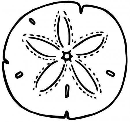 Sand Dollar 5 Coloring Page - Free Printable Coloring Pages for Kids