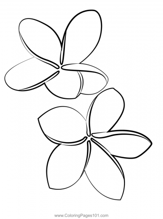 Frangipani Flower Coloring Page for Kids - Free Frangipanis Printable Coloring  Pages Online for Kids - ColoringPages101.com | Coloring Pages for Kids