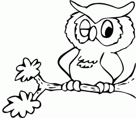 Kids Owl Coloring Pages For Free | Cartoon Coloring pages of ...