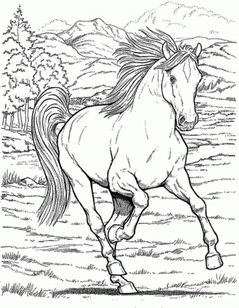 Coloring Pages For Adults Horses - Free coloring pages
