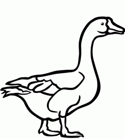 Walking goose coloring page | Free Printable Coloring Pages