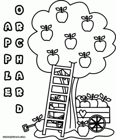 Apple coloring pages | Coloring pages to download and print