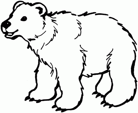 coloring page bear - High Quality Coloring Pages