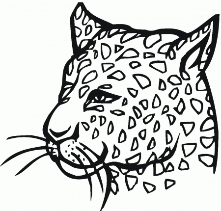 Leopard Coloring Pages For Kids