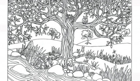 HD tree coloring pages for adults In best coloring pages image ...
