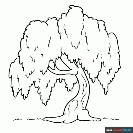 willow tree coloring pages
