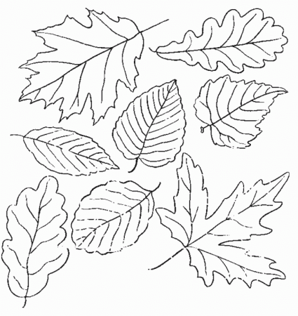 Autumn Tree With Leaves Coloring Page - Coloring