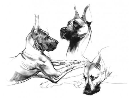 1024x0-great-dane-coloring-pages-49-free-printable-coloring-pages-13177.jpg