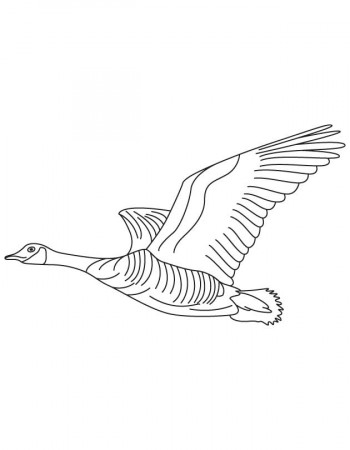 Domestic goose flying coloring page | Download Free Domestic goose flying coloring  page for kids | Best Coloring Pages