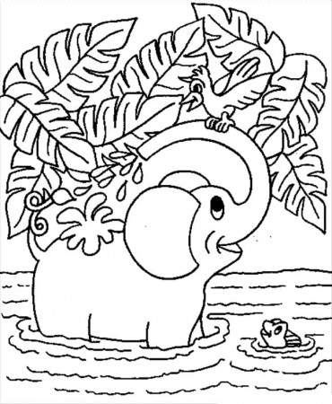 Elephant and Bird Coloring Page - Free Printable Coloring Pages for Kids