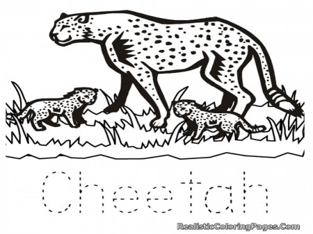Cute Baby Cheetah Coloring Pages Real Cheetah Coloring Pages. Kids ...
