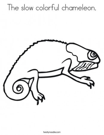The slow colorful chameleon Coloring Page - Twisty Noodle