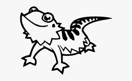 Drawing Of Bearded Dragon, HD Png Download - kindpng