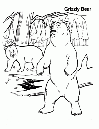 Black Bear coloring page - Animals Town - Free Black Bear color sheet