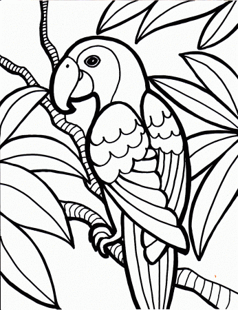 beautiful parrot coloring pages for kids to color in - Coloring Point