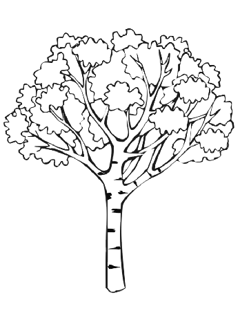 Plants and Trees | Coloring Pages