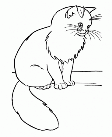 adorable Cat coloring pages for kids | Great Coloring Pages