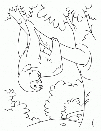 Tumbling sloth coloring pages | Download Free Tumbling sloth 