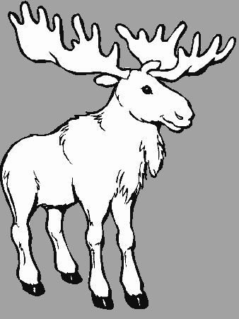 moose head Colouring Pages (page 2)
