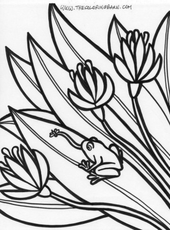 Free Coloring Pages Rainforest Hd Super Coloring Pages 263151 