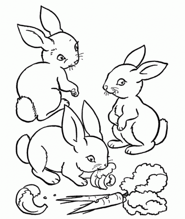 Download Small Rabbits Eating Vegetable Coloring For Kids Or Print 